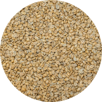 Panama Premium - Mama Cata Estate -Beneficio Arriba - Geisha Natural (New)