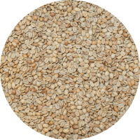 Panama Premium Boquete - Damarli Estate - Typica Natural Processed