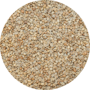 Panama Premium Boquete - Damarli Estate - Typica Natural Processed