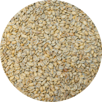 Panama Premium Boquete - Finca La Alqueria - Pacamara Natural Processed