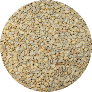 Panama Premium Boquete - Finca La Alqueria - Pacamara Natural Processed