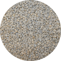 Panama Premium Boquete - Finca La Alqueria - Pacamara Washed Processed