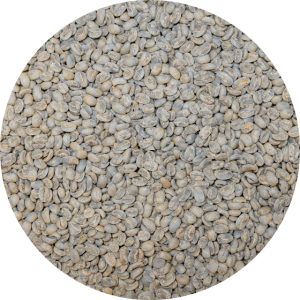 Panama Premium Boquete - Finca La Alqueria - Pacamara Washed Processed