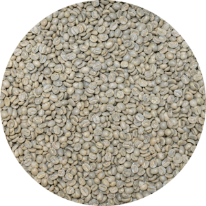 Panama Premium Boquete - Garrido Estates - Washed SHB