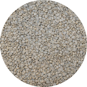 Panama Premium Boquete - Mama Cata Estate - Caturra Washed "Cañazal"