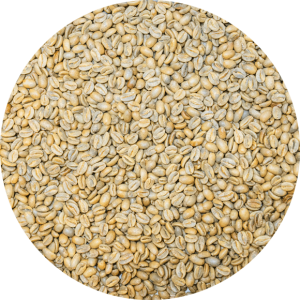 Panama Premium Boquete - Mama Cata Estate – Pacamara ASD (Anerobic) Natural Cedros