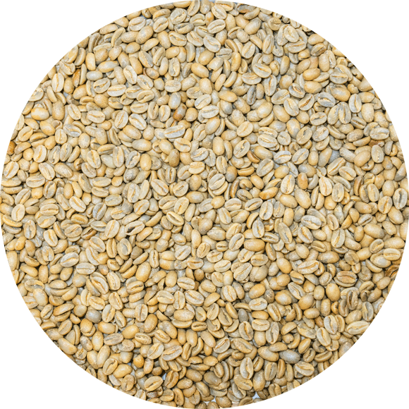 Panama Premium Boquete - Mama Cata Estate – Pacamara ASD (Anerobic) Natural Cedros