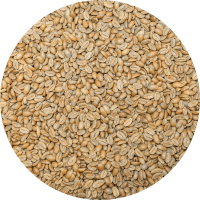 Panama Premium Deluxe El Santo Coffee Laurina Natural Processed