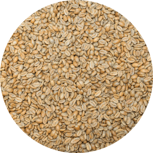 Panama Premium Deluxe El Santo Coffee Laurina Natural Processed