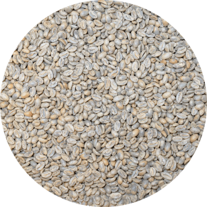 Panama Exclusive El Santo Coffee - Laurina Washed Processed