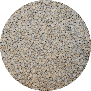 Panama Premium El Santo Coffee - Finca Camiseta Geisha Washed Processed Lot 3 Purple (New)