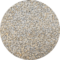 Panama Premium - Mama Cata Estate - Beneficio Arriba - Geisha Washed (New)