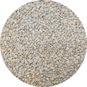 Panama Premium - Mama Cata Estate - Beneficio Arriba - Geisha Washed (New)
