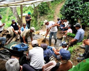 Decaffeinated Peru Org. Norandino FTO Royal Select MWP