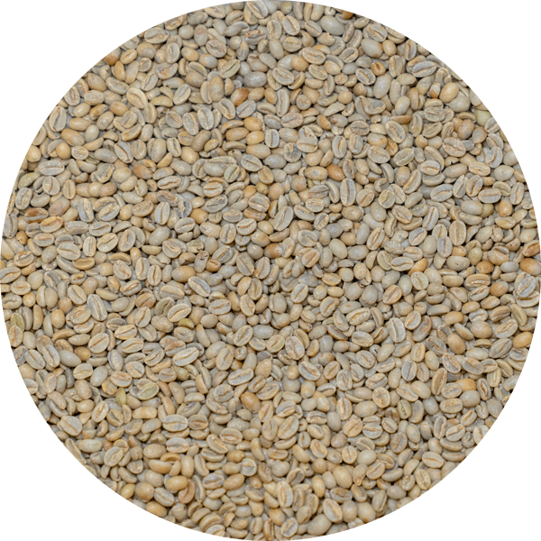 Ethiopian Yirgacheffe Org. Natural Gr. 1 - Konga - Takele Mammo Denbi