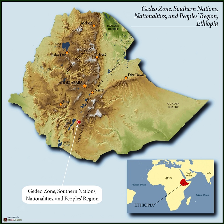 362. Gedeo Zone-Southern Nations-Nationalities-and Peoples-Region-Ethiopia