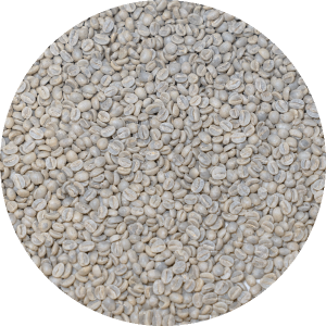 Burundi Kawa - Zamurabawe Station - Washed Processed