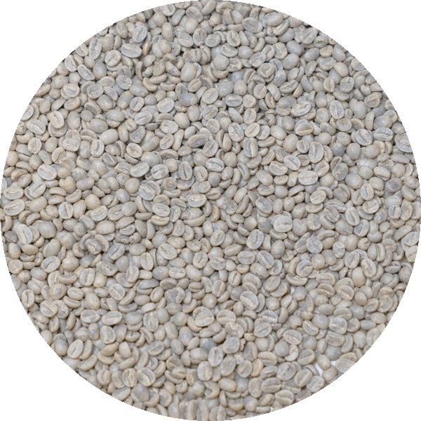 Burundi Kawa - Zamurabawe Station - Washed Processed