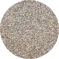 Burundi Kibira - Long Miles Project Washed Processed