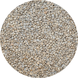 Burundi Kibira - Long Miles Project Washed Processed