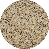 Burundi Mutana - Long Miles Project Natural Processed