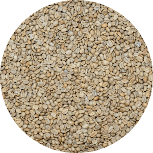 Burundi Mutana - Long Miles Project Natural Processed