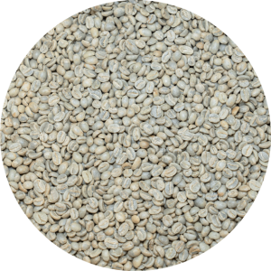 Colombian Org. Tolima – MULTICOOP