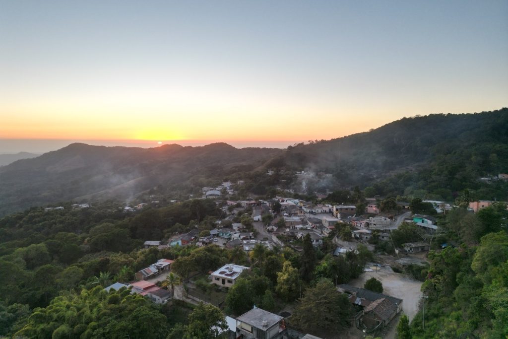 Mexican Terruño Nayarita