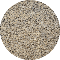 Decaffeinated Guatemalan Antigua - Finca Medina Royal Select SWP