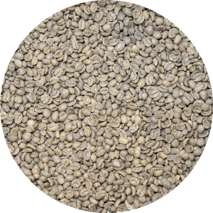 Decaffeinated Guatemalan Antigua - Finca Medina Royal Select SWP