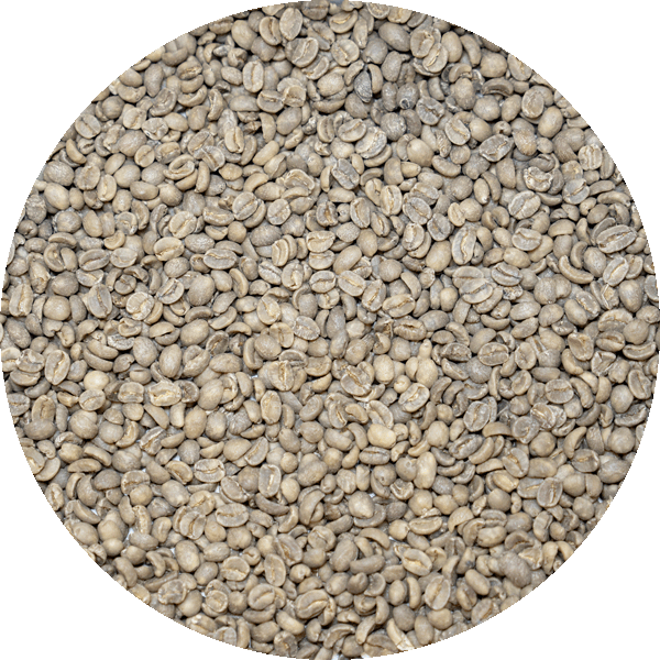 Decaffeinated Guatemalan Antigua - Finca Medina Royal Select SWP