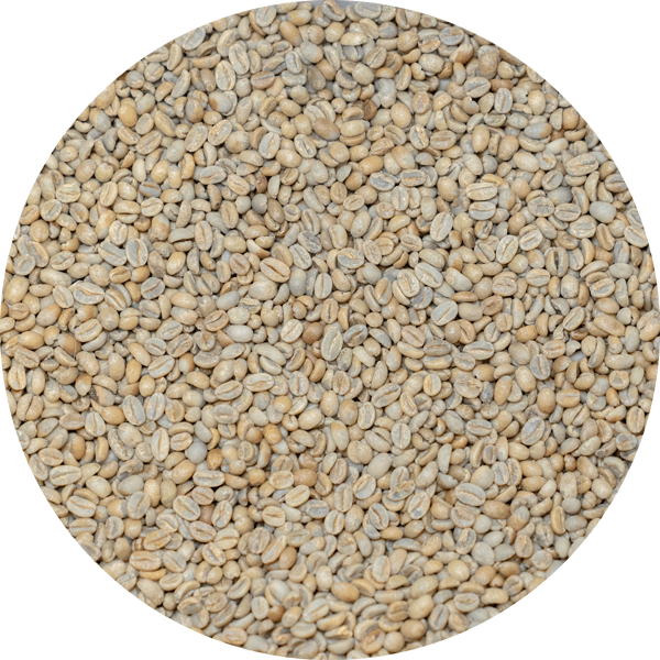 Ethiopian Yirgacheffe Natural Gr. 1 - Hambela