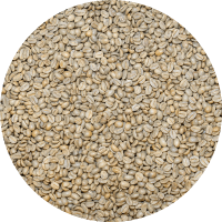 Honduran Org. 18 Rabbit Microlot - Black Honey