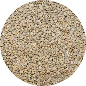 Honduran Org. 18 Rabbit Microlot - Black Honey