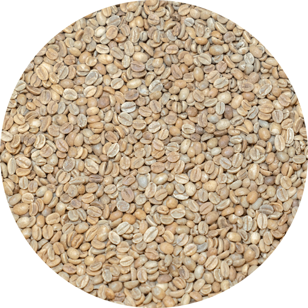 Indonesian Bali Org. - Kintamani - Natural