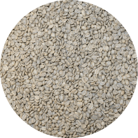 Papua New Guinea - Carpenter Estates Sigri - Kula AA