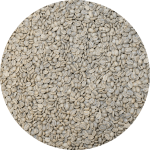 Papua New Guinea - Carpenter Estates Sigri - Kula AA