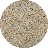 Papua New Guinea - Kinmuga Small Holders - Natural