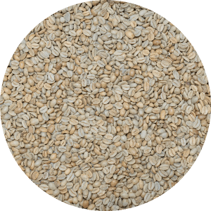 Papua New Guinea - Kinmuga Small Holders - Natural