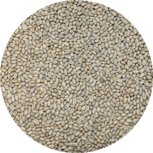 Papua New Guinea - Kinmuga Small Holders - Peaberry