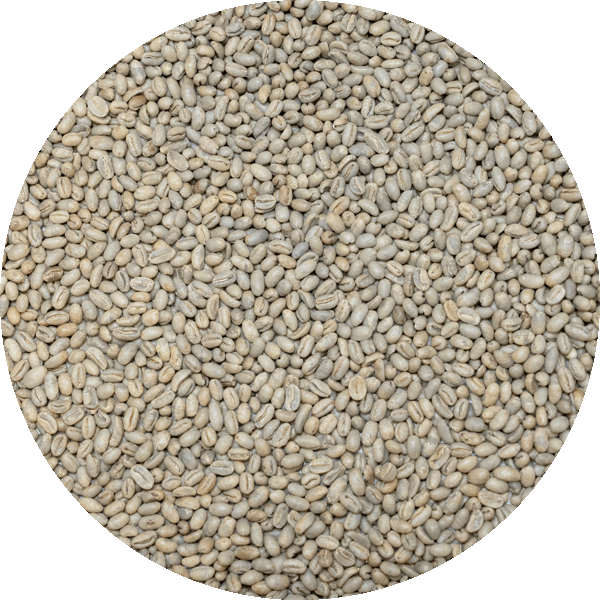 Papua New Guinea - Kinmuga Small Holders - Peaberry