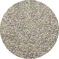 Brazil Mogiana 15/16 FC SS