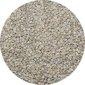 Brazil Mogiana 15/16 FC SS