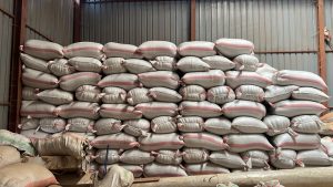 Congo Kalehe AA Org. Idjwi Island - Women's Coffee Washed