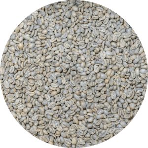 Colombia Premium Tolima - Finca La Bohemia - Gesha Washed