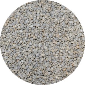 Guatemalan Huehue. BCT Select Washed