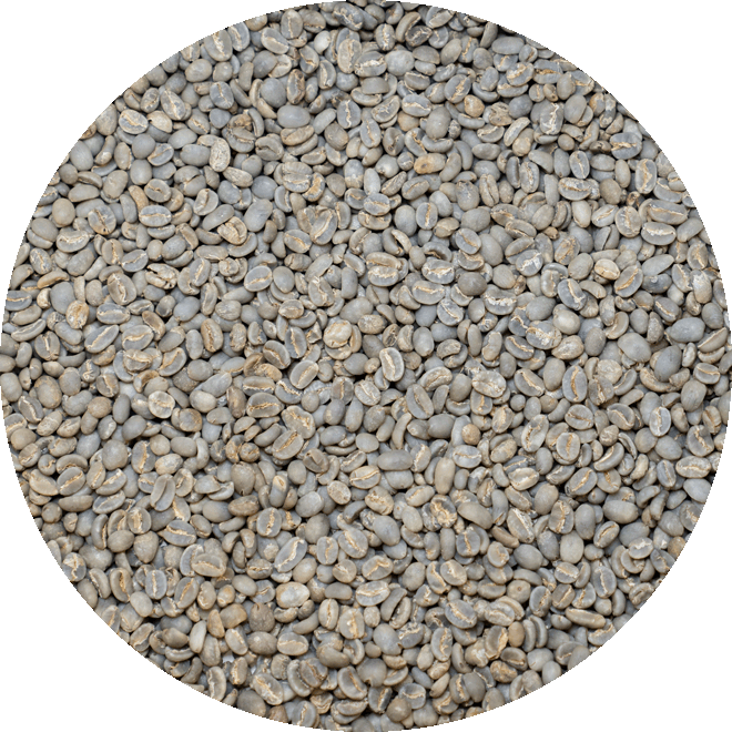 Indonesian Sumatra Aceh Gr. 1 Double Pick - Harimau Tiger