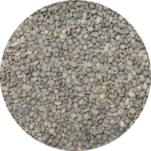 Indonesian Sumatra CSC - Bener Meriah - Wet-hulled