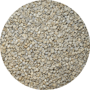 Mexican-Cristal---BCT-Select-Washed