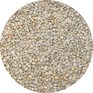 Colombian Org. Huila ASPROCESCA EP - Washed